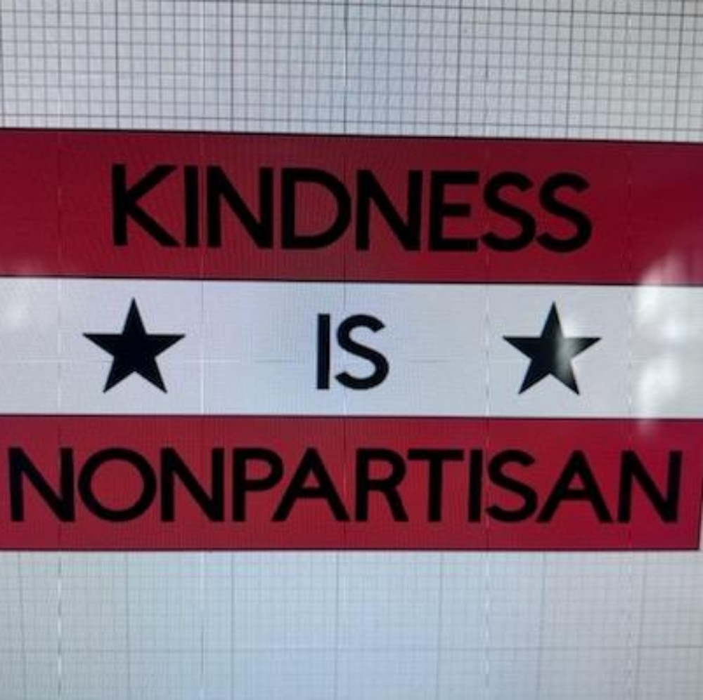 Meet your Posher, Zandy - Picture 10 of 16